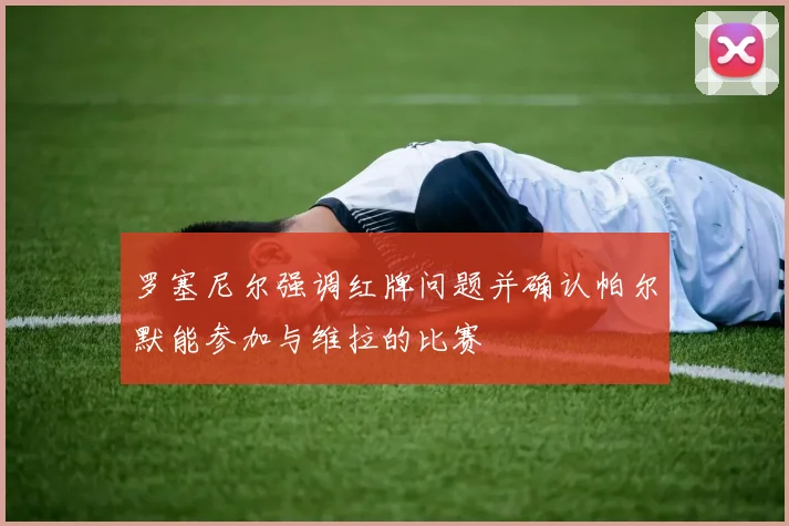 罗塞尼尔强调红牌问题并确认帕尔默能参加与维拉的比赛