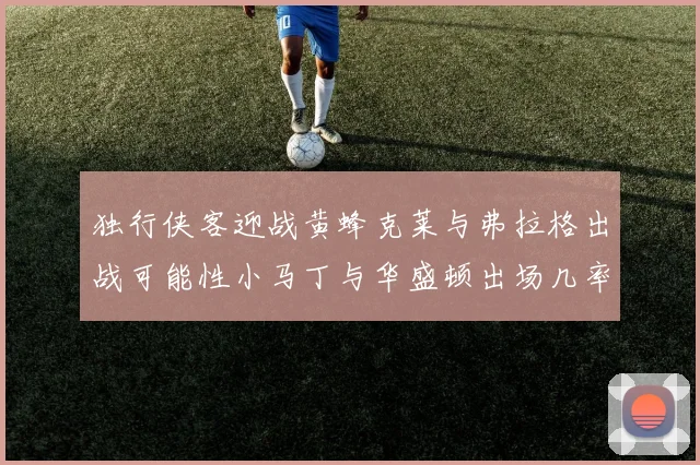 独行侠客迎战黄蜂克莱与弗拉格出战可能性小马丁与华盛顿出场几率高